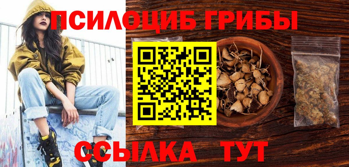 Галлюциногенные грибы прущие грибы Минеральные Воды